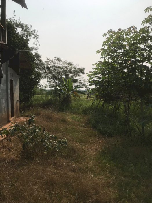 DIJUAL TANAH DI RANCAH LABUH, KEMIRI KABUPATEN TANGERANG