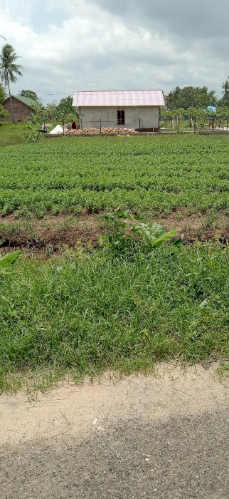 DIJUAL TANAH KAPLING UKURAN 900 M2