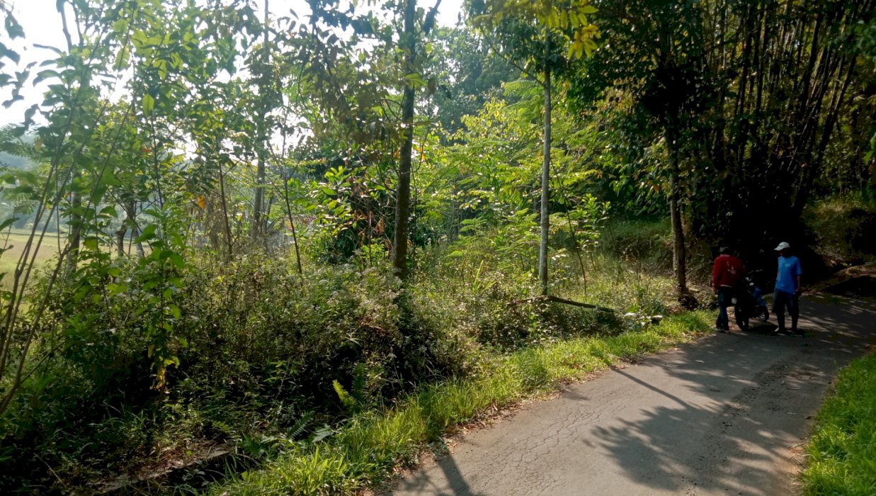 Tanah kebun kering produktip