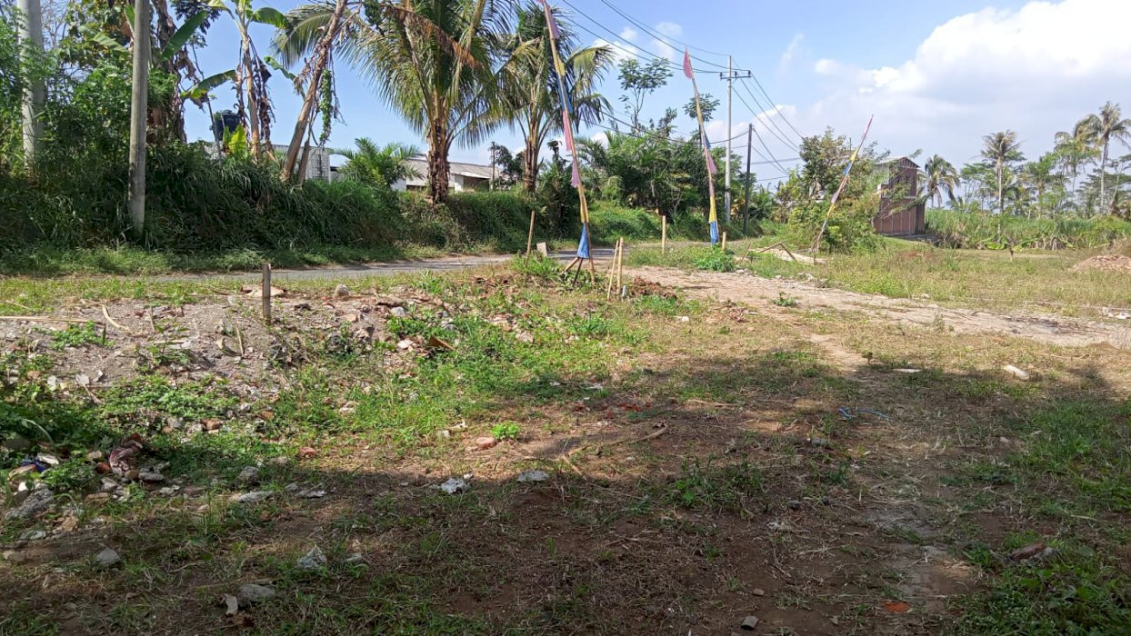 Di Jual Tanah Kavling Murah Lokasi Strategis Di  Pandanrejo Malang