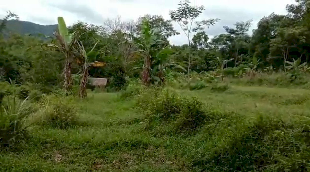 Di Jual Tanah Murah Lokasi Strategis Bogor Barat