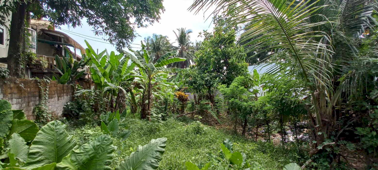 Land Lease or Rent 10 are in the Villa Area Beraban