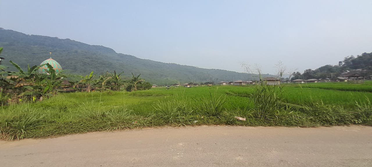 Di Jual Tanah  Lokasi Strategis Di Sukanegara Bogor