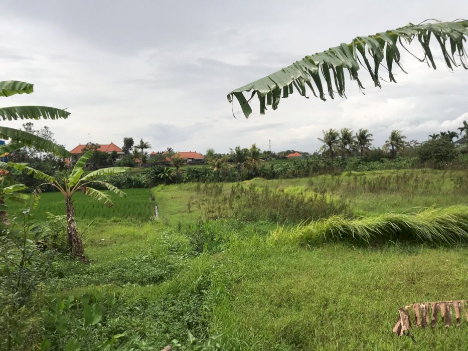 DIJUAL TANAH PANTAI NYANYI, PANDAK GEDE DENPASAR BALI