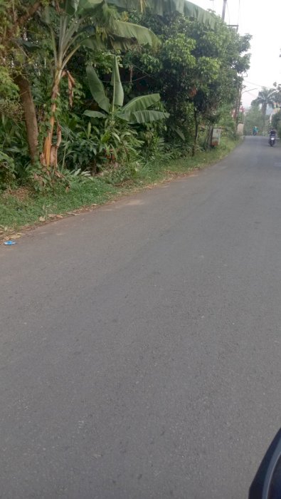 tanah murah di kab.bogo r .barat