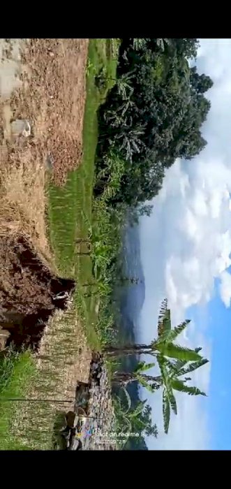 Tanah kebun murah di bogor barat