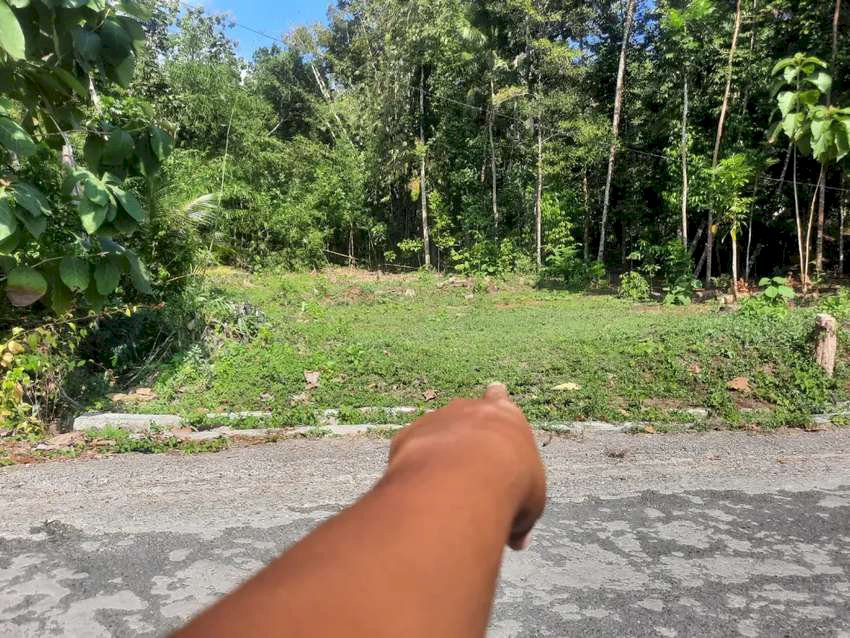 Tanah Super Murah 486m2 di tepi jalan Aspal