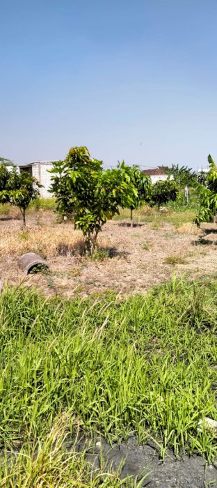 BU,Tanah Kapling Siap Bangun, sudah ada tetangga, Strategis