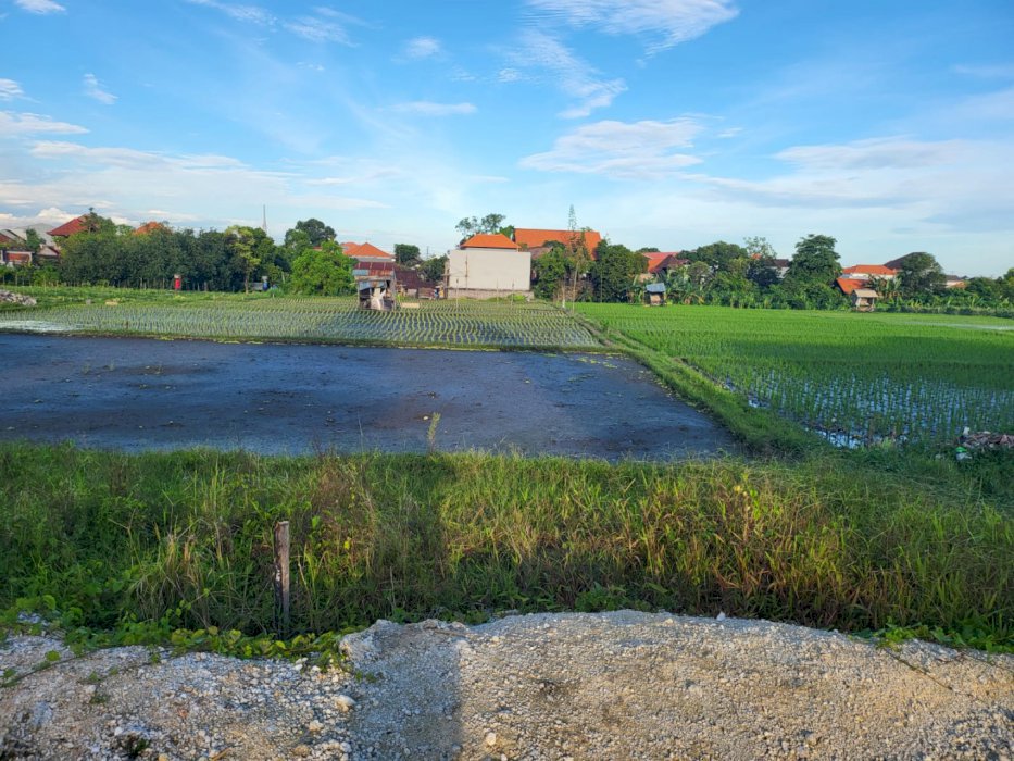 DIJUAL TANAH MURAH, GUNUNG SALAK TABANAN BALI