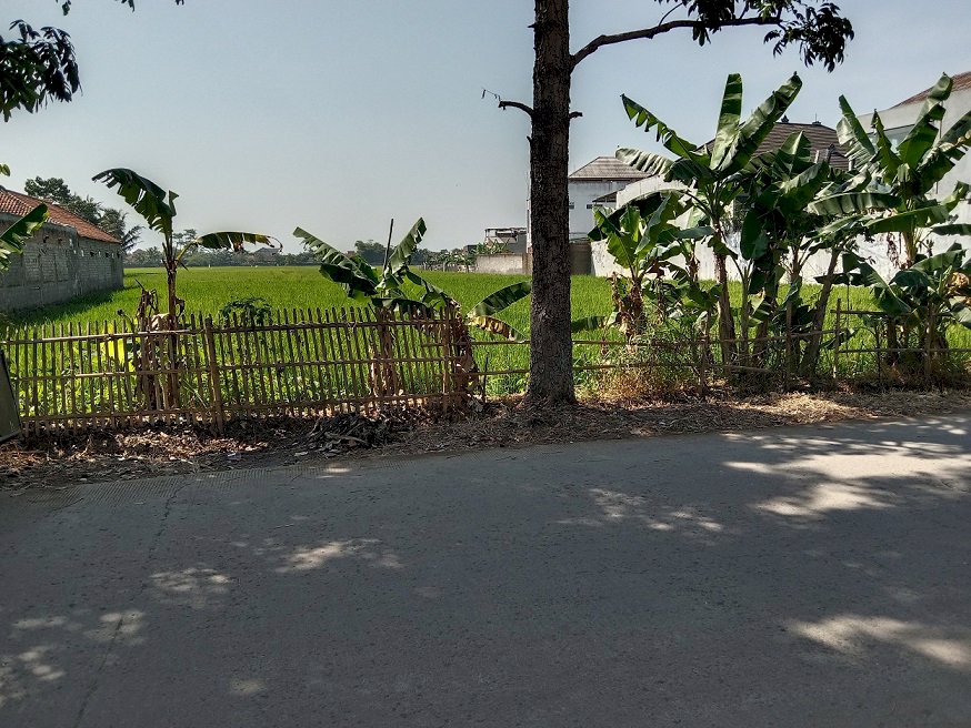 Jual Tanah Luas 5.100 Meter Di Jl. Walini - Rancaekek !