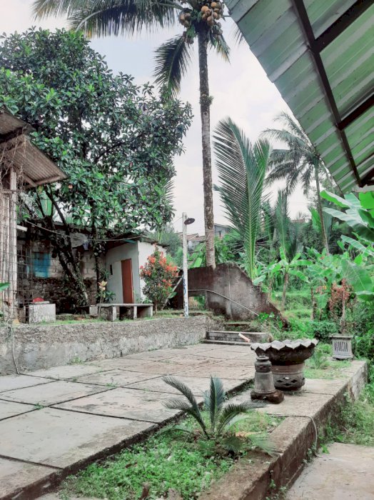 DI JUAL RUMAH DI CIAPUS BOGOR