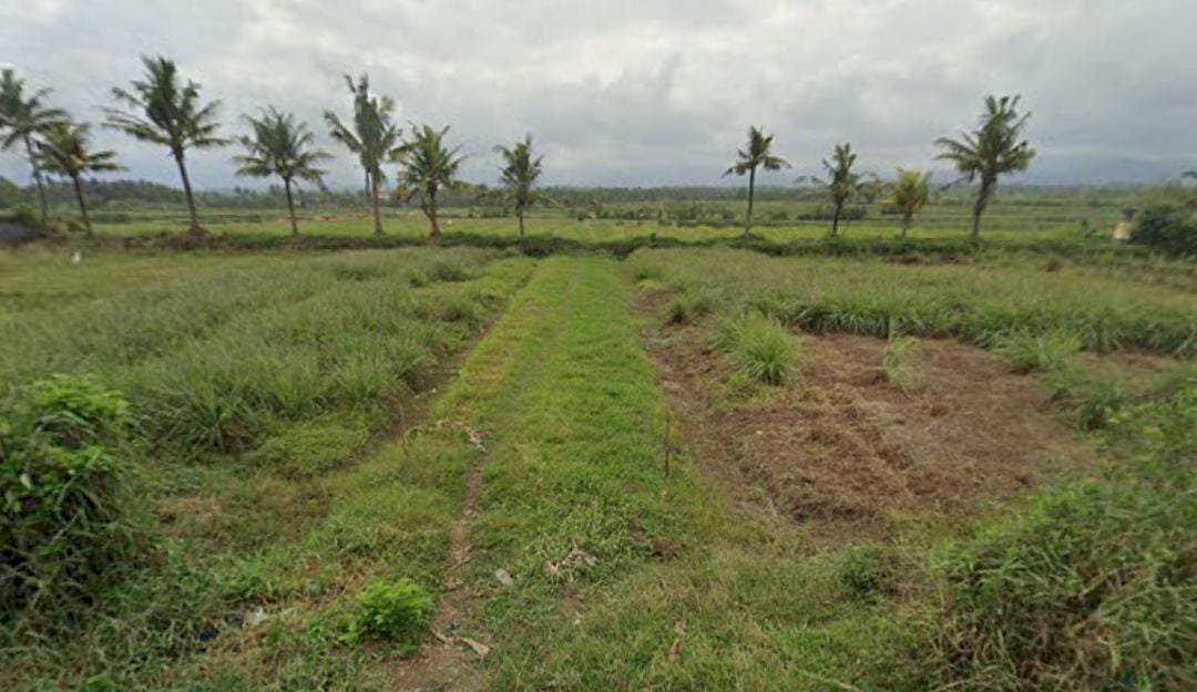 DIJUAL TANAH LOS PANTAI, MENDOYO JEMBRANA BALI