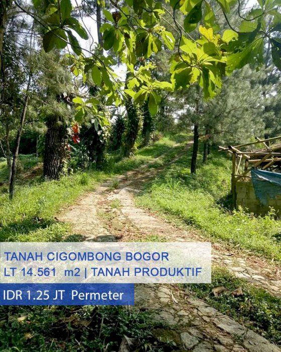 Tanah Bonus Kolam Ikan di Jl. Raya Sukabumi, Cigombong Kab. Bogor