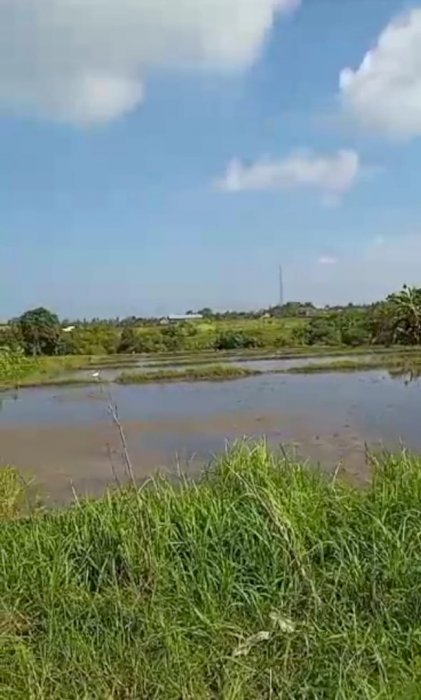 Land Lease or Rent 37 are River Sites in Munggu