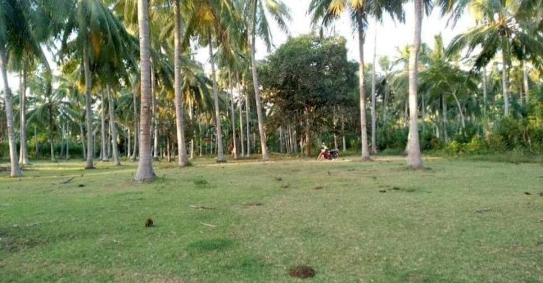 DIJUAL TANAH STRATEGIS, JEMBRANA BALI