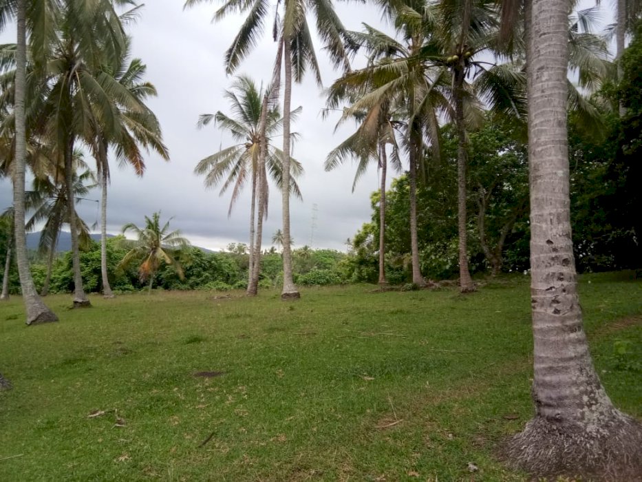 DIJUAL TANAH PANTAI SOKA, TABANAN BALI