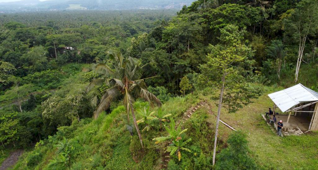 DIJUAL TANAH MURAH LOKASI STRATEGIS DI KARANGASEM BALI