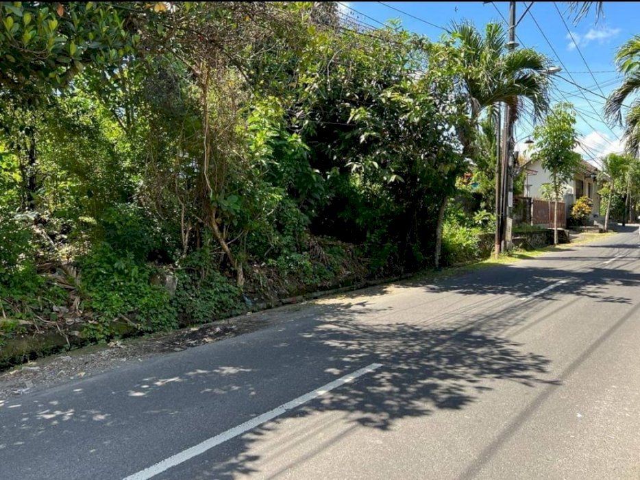 DIJUAL TANAH JALAN RAYA BABAKAN CANGGU BADUNG BALI