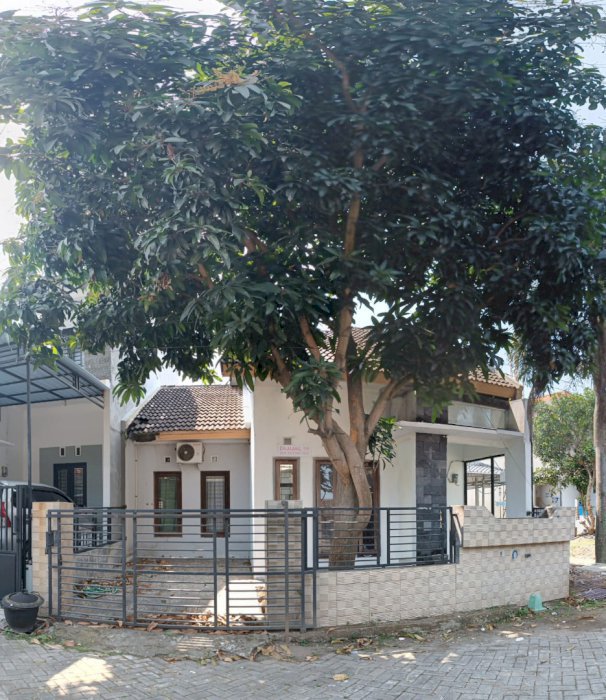 Jual Murah Perumahan Griya Palem Di Jombang Jawa Timur