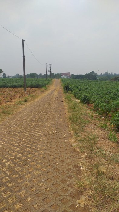 Jual Tanah Kavling, Parung Bogor Jawa Barat