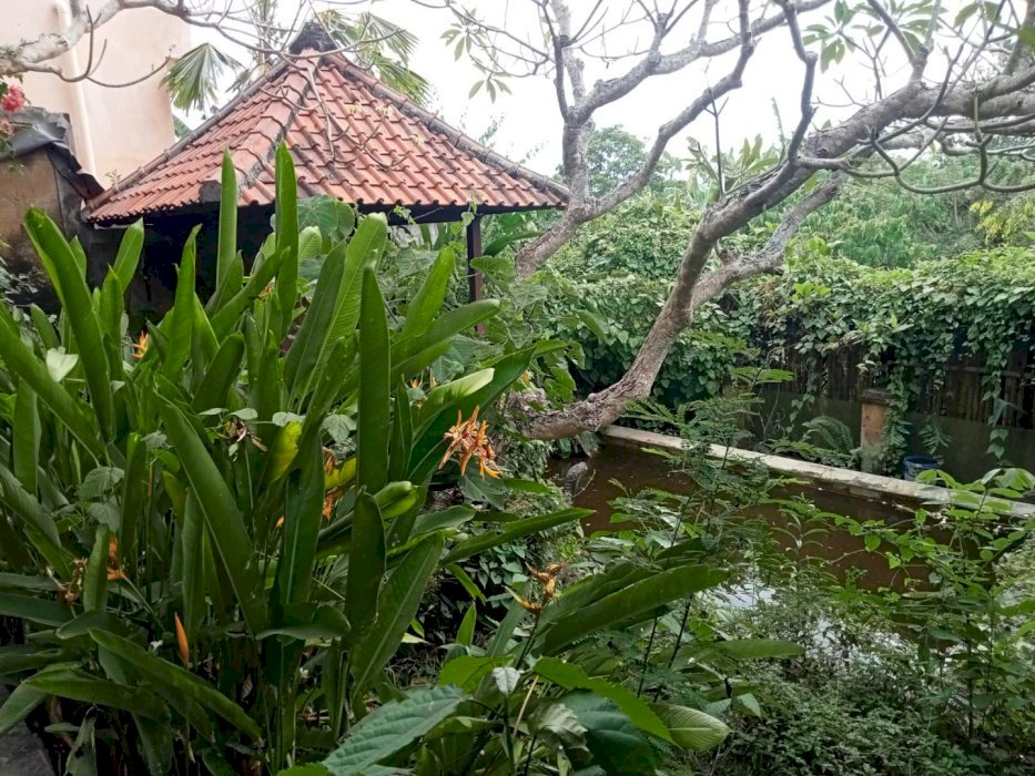 DI SEWAKAN TANAH BONUS VILLA MANGKRAK PERERENAN BALI