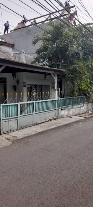 Rumah jalan ikan ikan di rawamangun