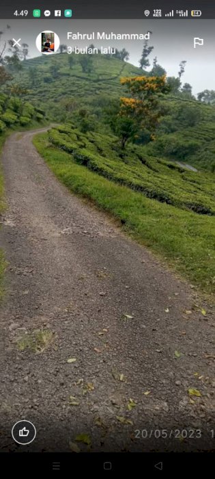 Jual cepat TANAH KEBUN 680HA