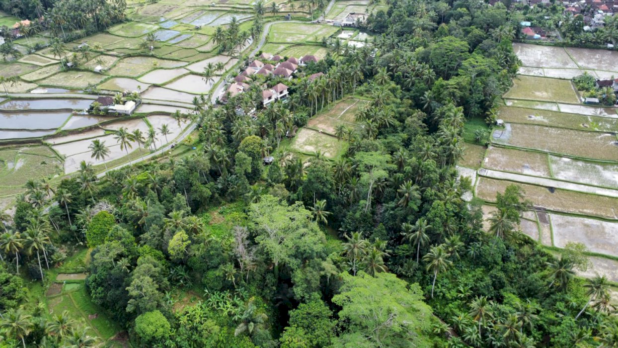 DI JUAL TANAH MURAH DI TEGALLALANG KENDERAN VIEW CANTIK DI UBUD BALI