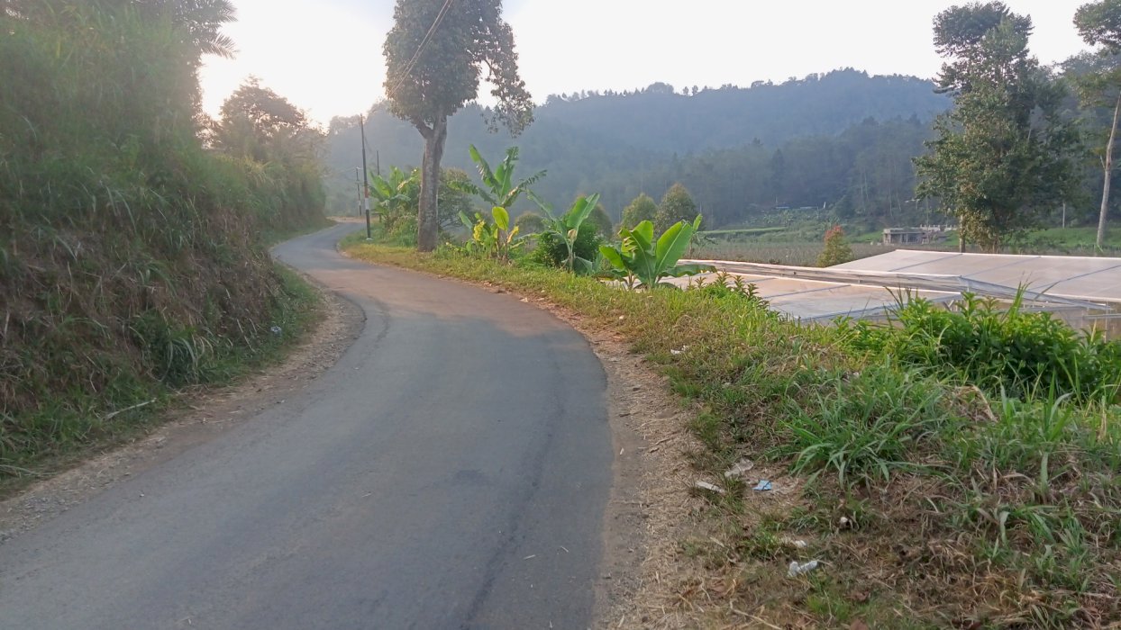 tanah produktip zona kuning