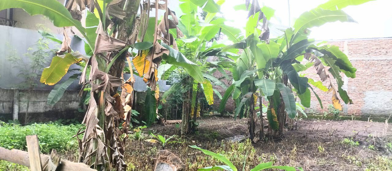 Disewakan tanah cocok untuk usaha