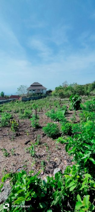DI JUAL TANAH OCEAN VIEW LINGKUNGAN VILLA DI UNGASAN KUTA SELATAN BALI