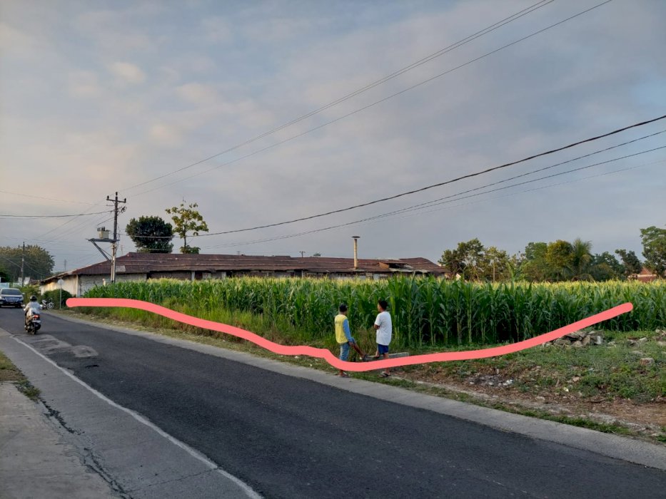 Dijual tanah komersil pinggir jalan kabupaten