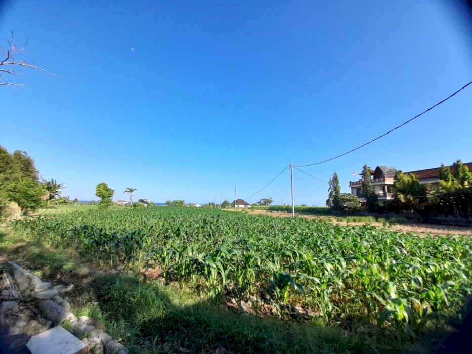 Dijual tanah luas di Padang Galak SANUR