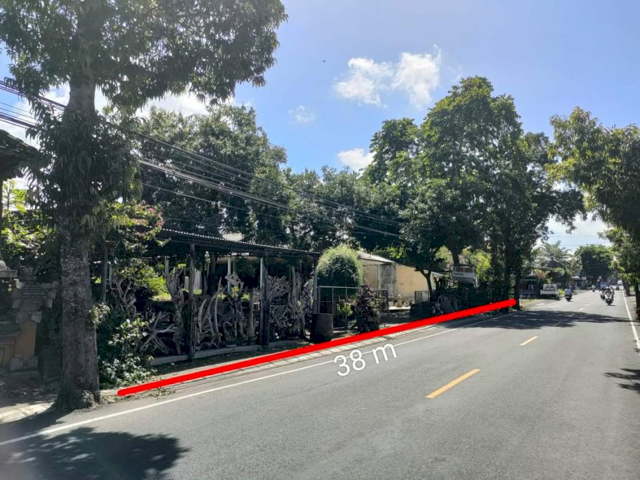 Pinggir jalan raya mas - ubud
