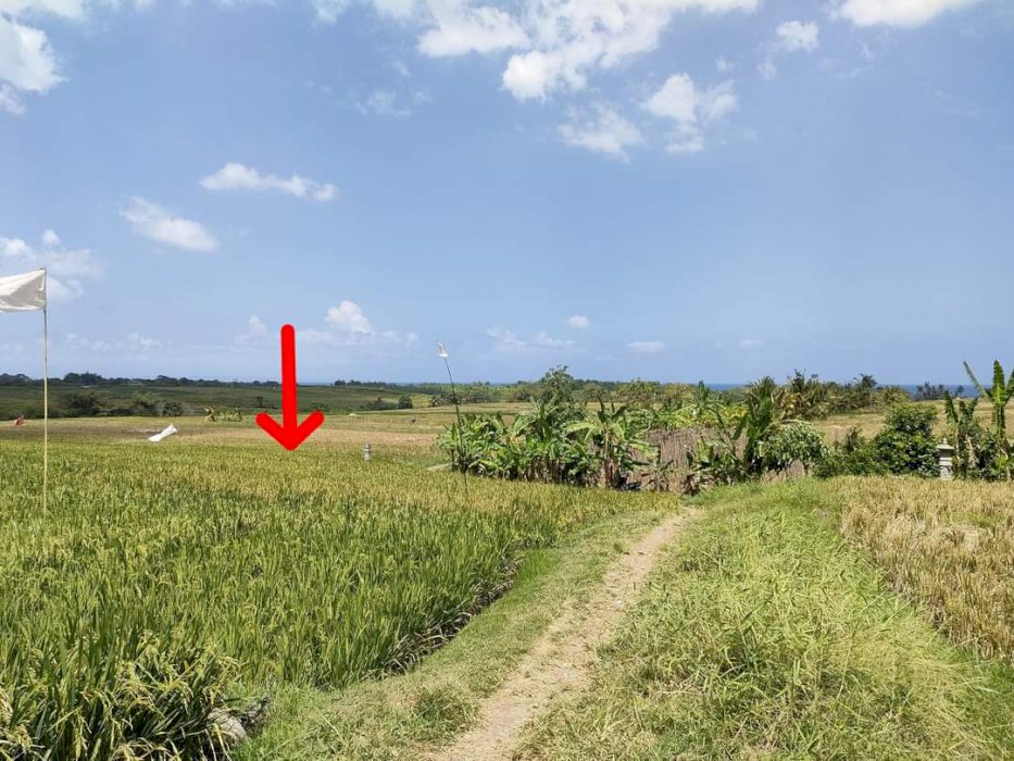 View pantai kelating Tabanan, Canggu masa depan