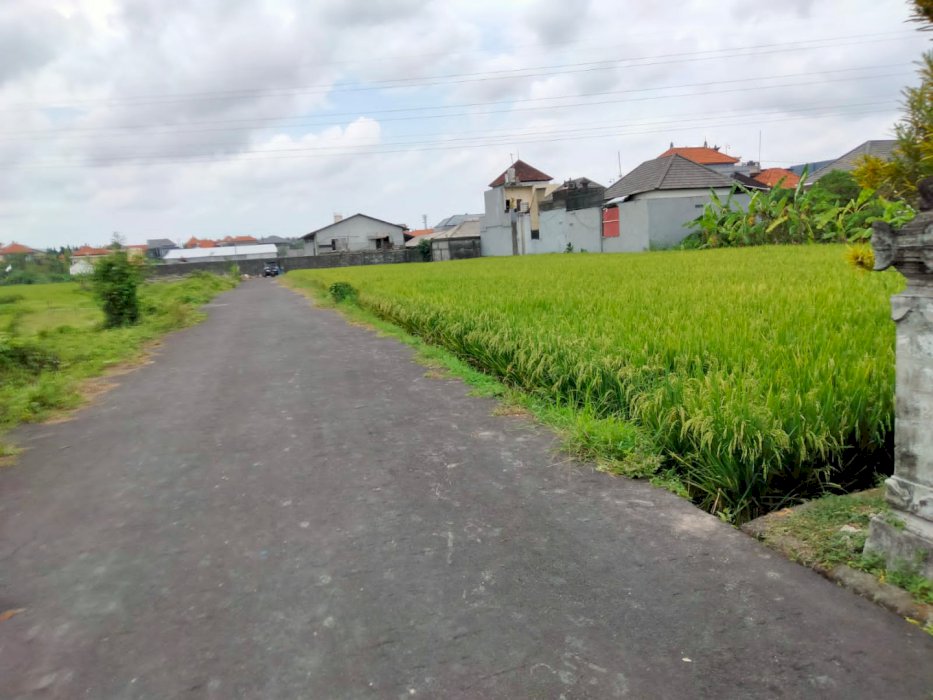 Dijual tanah Kavling