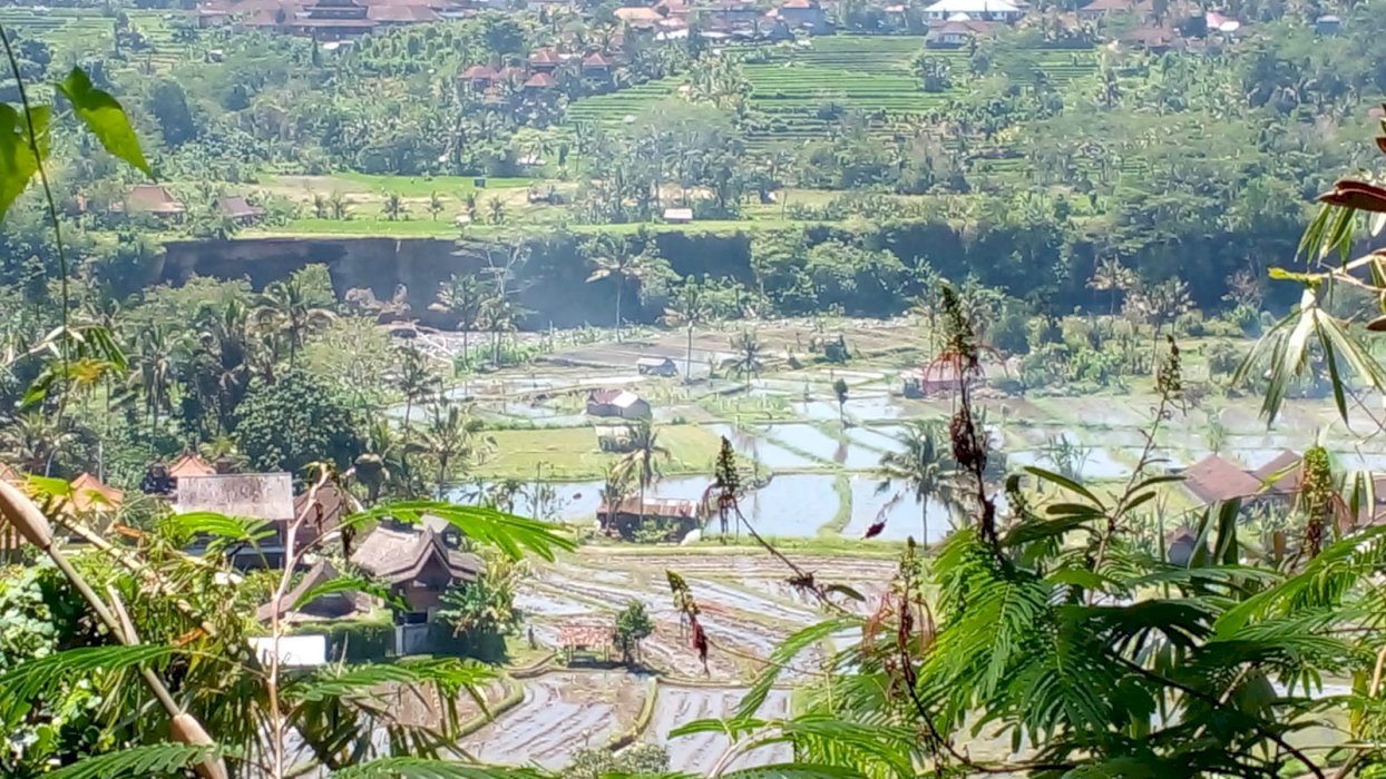DI JUAL TANAH LAHAN LUAS SIDEMEN KARANG ASEM