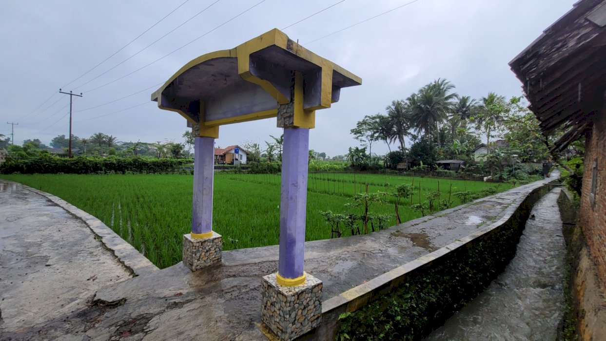 Jual Tanah Sawah Strategis pinggir jalan Ciamis-Tasik