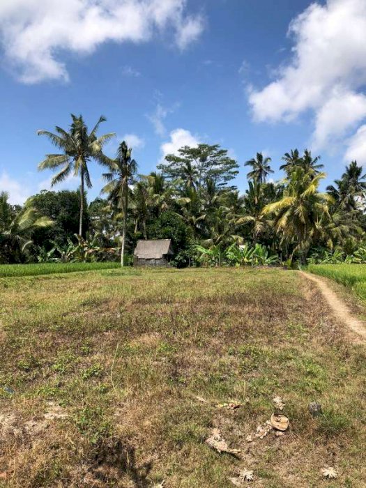 tanah di kawasan villa area pejeng kangin