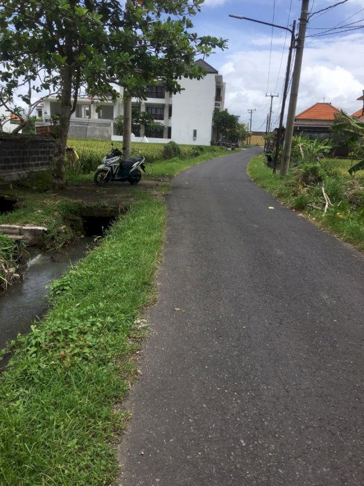 DI SEWA TANAH SAWAH DI CEMAGI MUNGGU BALI