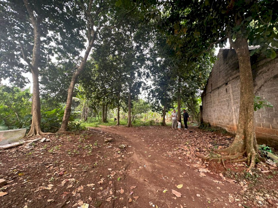 Dijual Tanah SHM Luas 3200 mÂ² Lokasi Strategis di Cipayung Depok