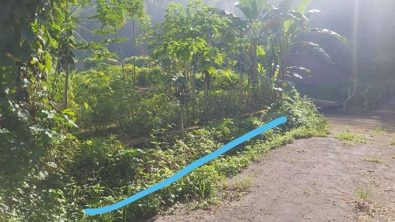 tanah 1 are di darmasaba, badung