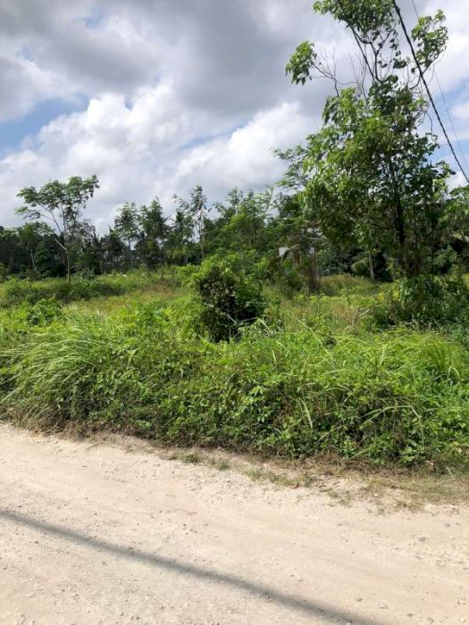tanah kosong siap bangun di pejeng dekat ubud