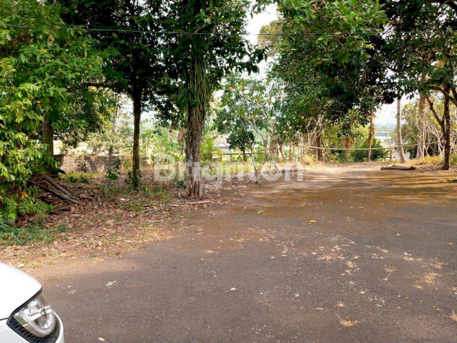 TANAH LUAS DENGAN VIEW GUNUNG DAN SAWAH TERASERING DI MIJEN