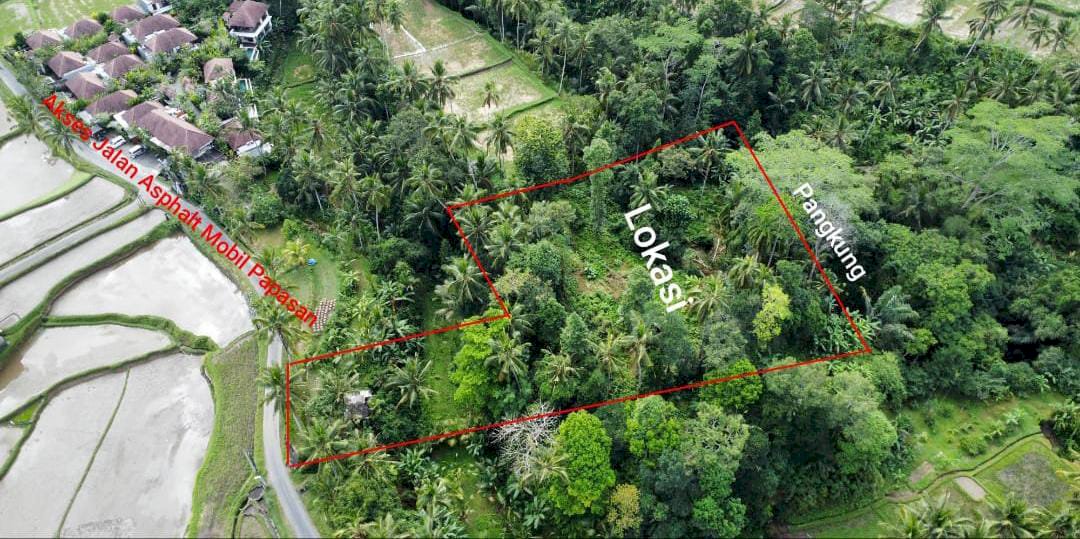 DI JUAL MURAH TANAH DI TEGALLALANG BALI DEKAT DENGAN CENTRAL UBUD