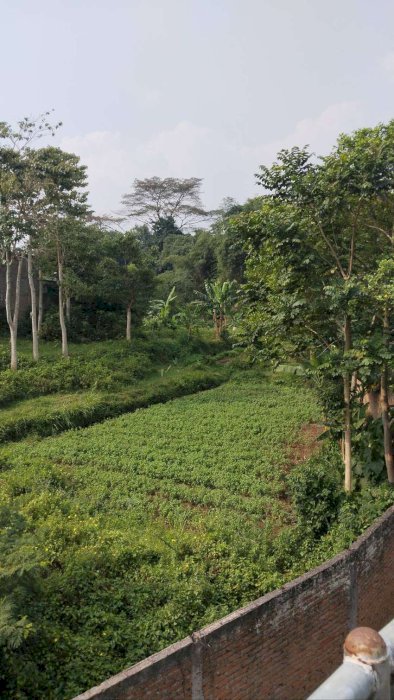 Tanah Cibabat Jl. Aruman