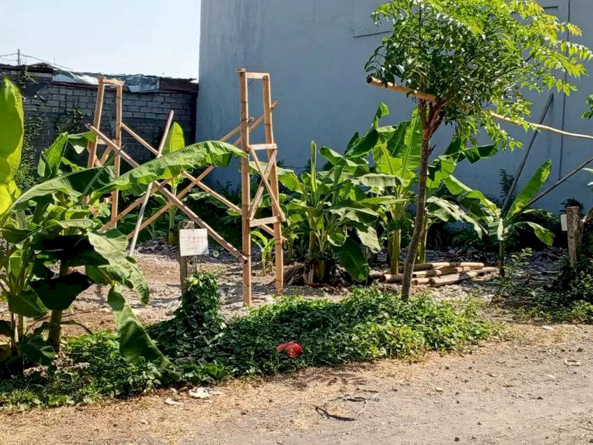 TANAH DI DENSEL SIDAKARYA