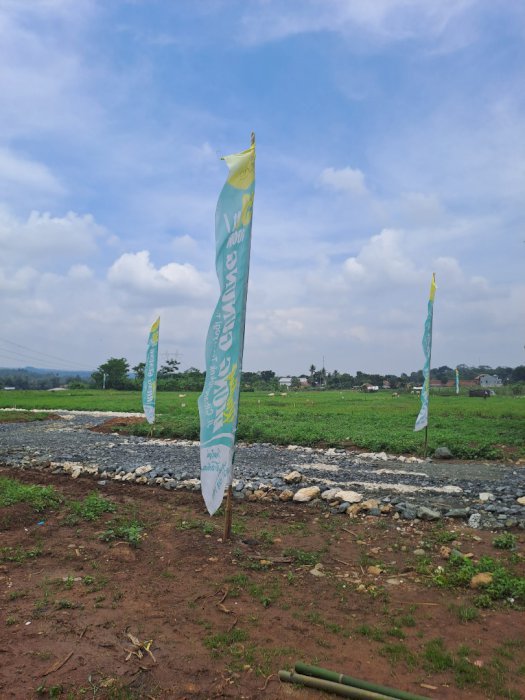 Jual tanah kapling kebun desa tanjung sari per 100 m2