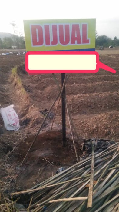 Dijual  Tanah sawah strategis Magelang Jawa Tengah