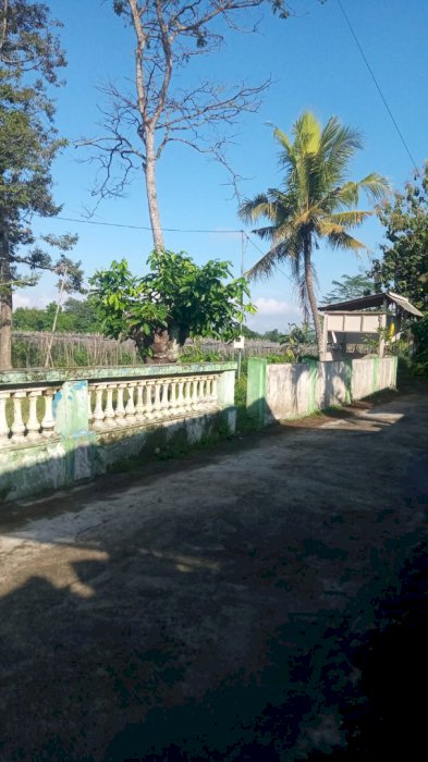 Jual tanah free rumah